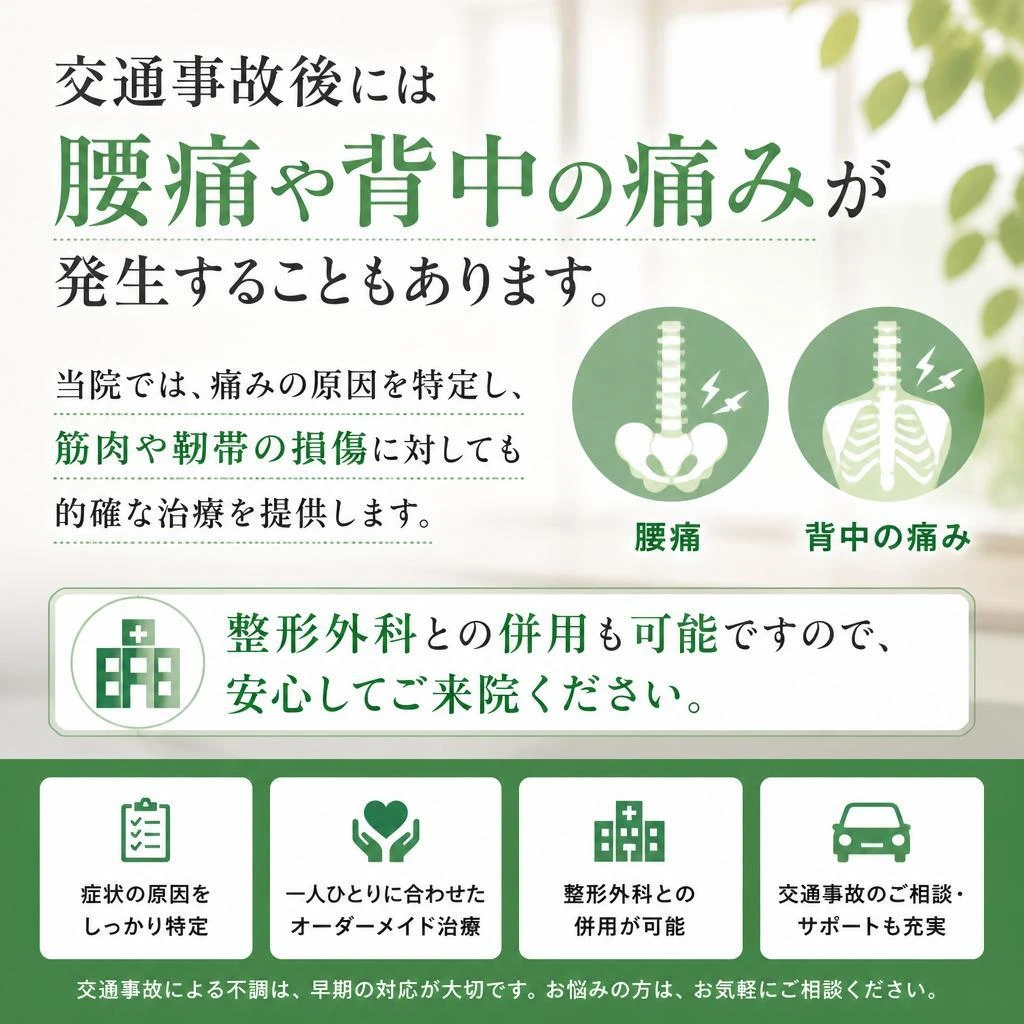 腰痛や背中の痛みへのアプローチ